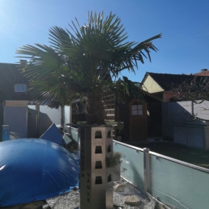 Pecile Edelstahl Manufaktur aus Wolfern in Oberösterreich (2)